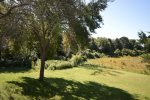 Expansive, private yard